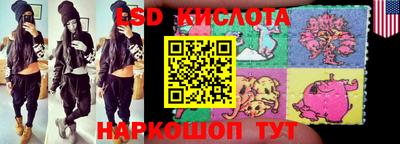 гидропоника Краснознаменск