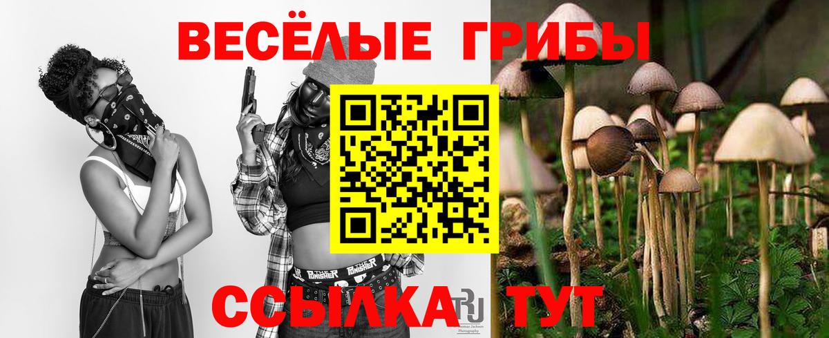Коммунар  Псилоцибиновые грибы ЛСД  Вход с VPN 